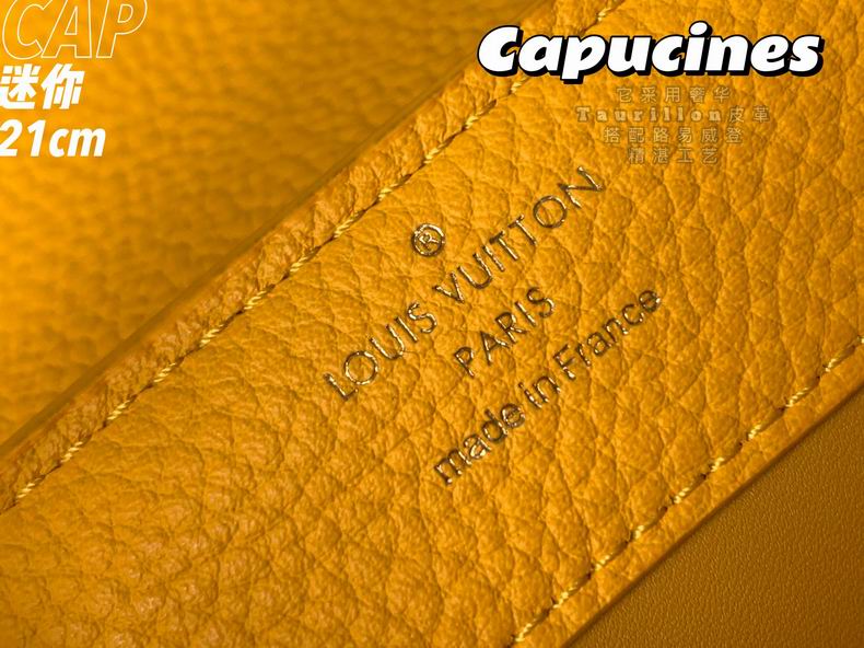 Capucines  M95509 21x14x8 cm gf (17)